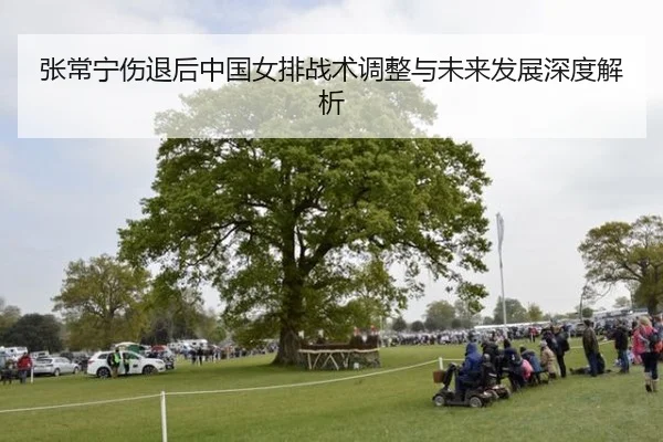 张常宁伤退后中国女排战术调整与未来发展深度解析